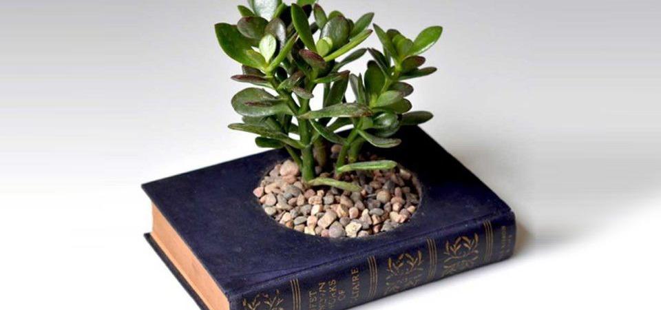А книги – в горшок!
