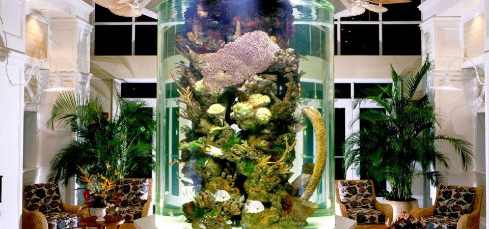 Вспоминая море: лучшие интерьерные решения с участием аквариумов