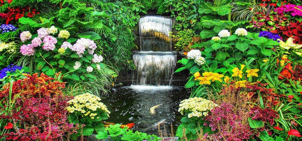 6 самых красивых цветов, которые украсят ваш осенний сад
