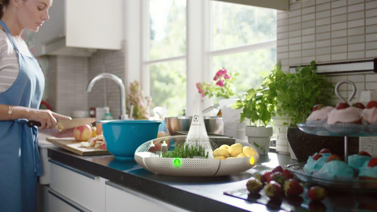 Стал известен победитель конкурса инноваций от Electrolux