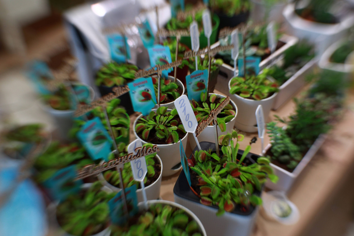 В Москве 17 и 18 апреля состоится городской маркет Growbox